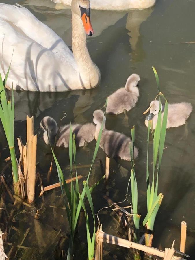 Selska Chalupa Anetka Horšovský Týn Bagian luar foto