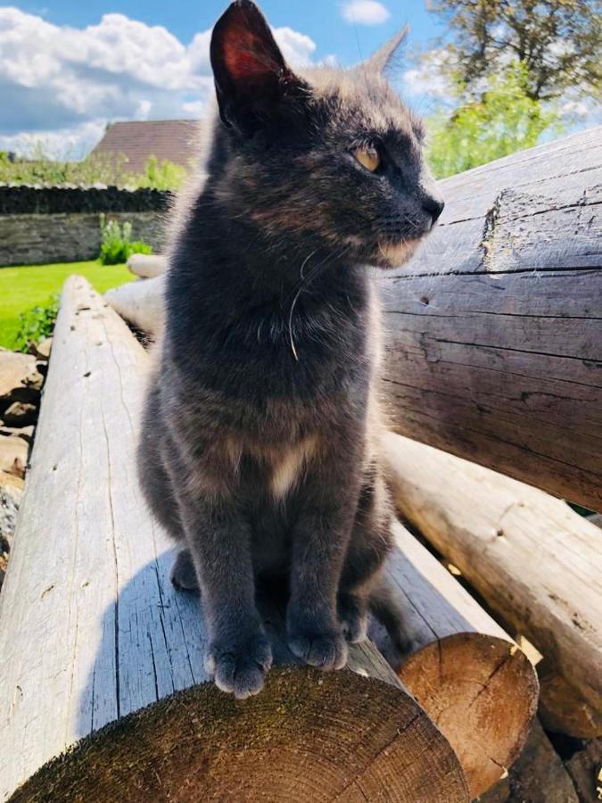 Selska Chalupa Anetka Horšovský Týn Bagian luar foto